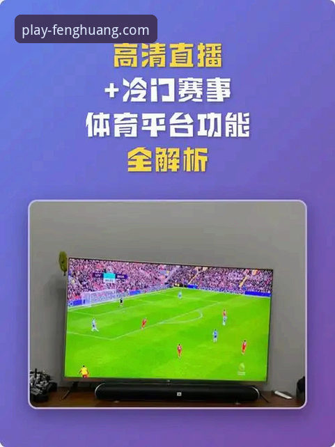 资深用户分享：凤凰体育官方平台高清直播观看与使用全攻略